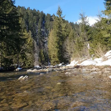 Dom wakacyjny лісовий маєток