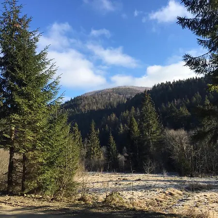 Casa vacanze лісовий маєток *