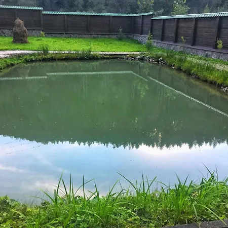 Dom wakacyjny лісовий маєток