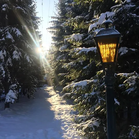 лісовий маєток * Sławsko