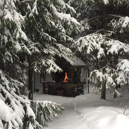 лісовий маєток * Sławsko