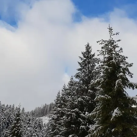 Casa vacanze лісовий маєток Slavske