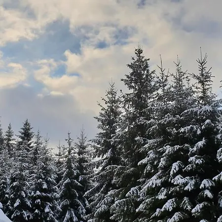лісовий маєток Casa vacanze *