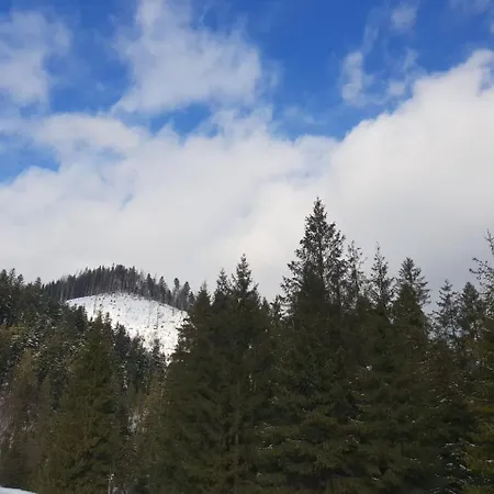 Nyaraló лісовий маєток