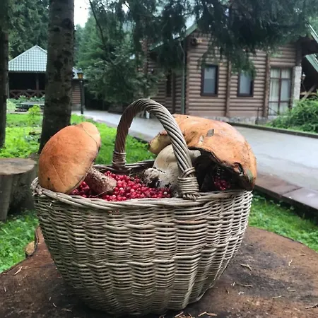 Nyaraló лісовий маєток Szlavszke