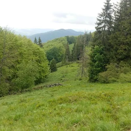 Casa vacanze лісовий маєток Slavske