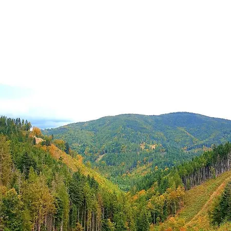 лісовий маєток Dom wakacyjny Sławsko