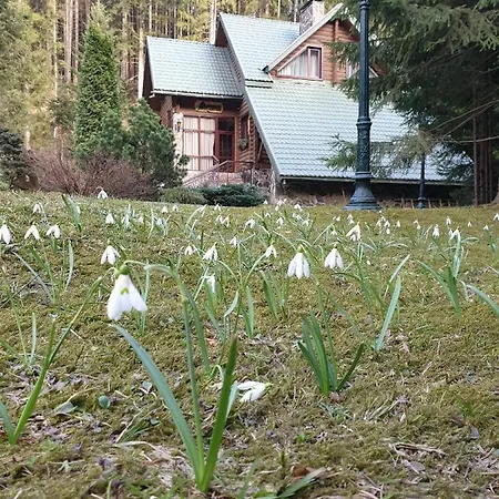 лісовий маєток