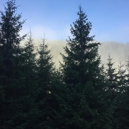 лісовий маєток 度假居