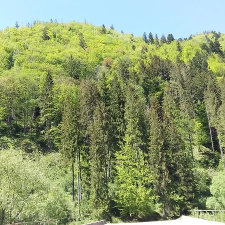 лісовий маєток 度假居 斯拉夫西克