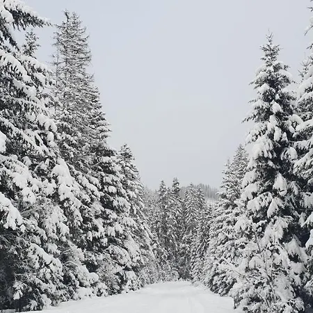 度假居 лісовий маєток 斯拉夫西克