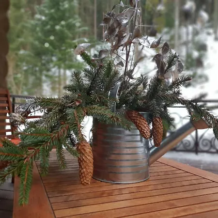 度假居 лісовий маєток *