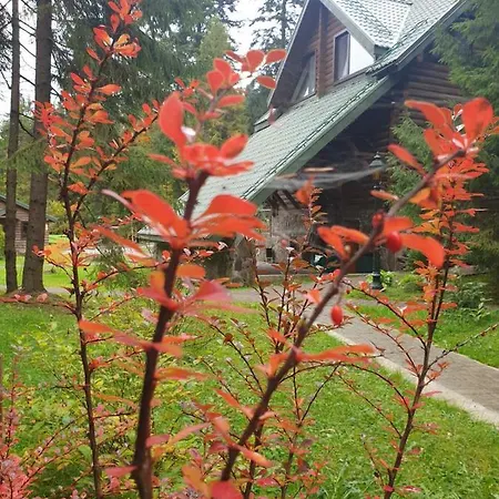 лісовий маєток * 斯拉夫西克