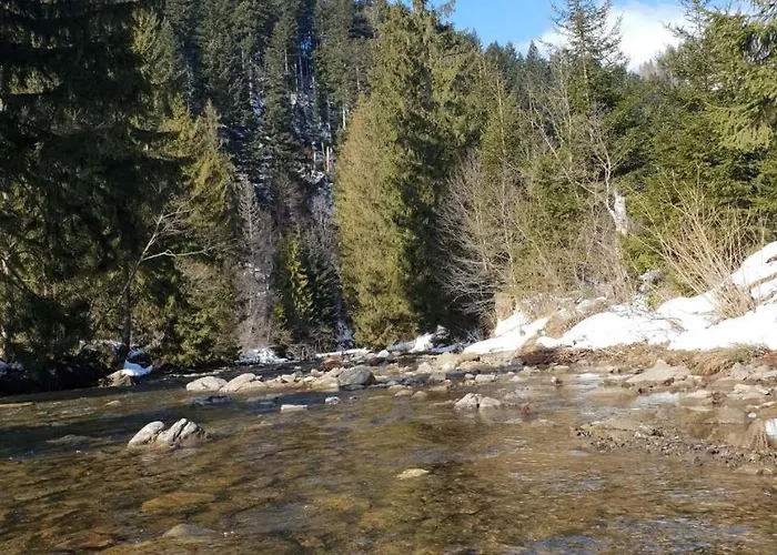 Nyaraló лісовий маєток