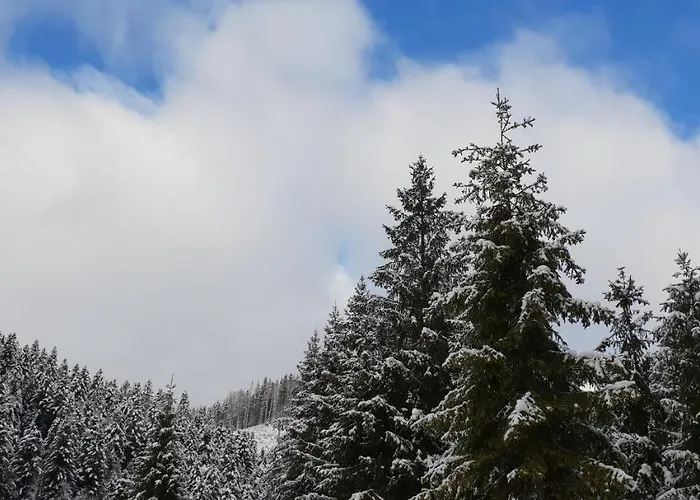 Nyaraló лісовий маєток Szlavszke