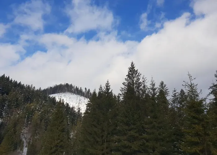 Nyaraló лісовий маєток