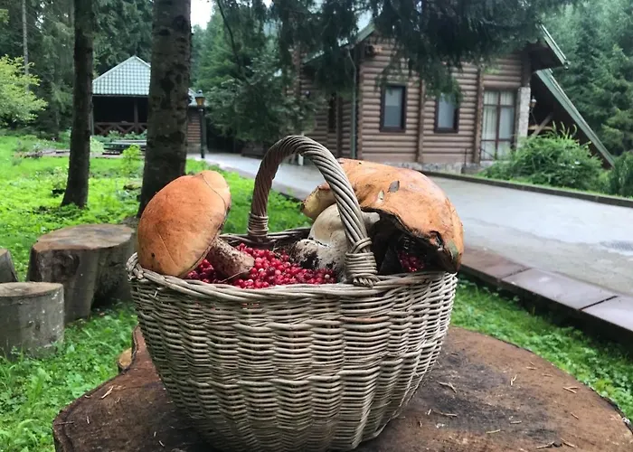 Nyaraló лісовий маєток Szlavszke